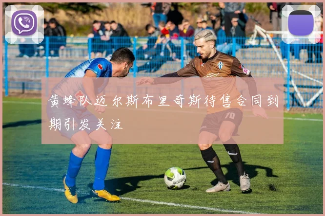 黄蜂队迈尔斯布里奇斯待售合同到期引发关注