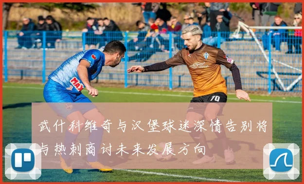 武什科维奇与汉堡球迷深情告别将与热刺商讨未来发展方向