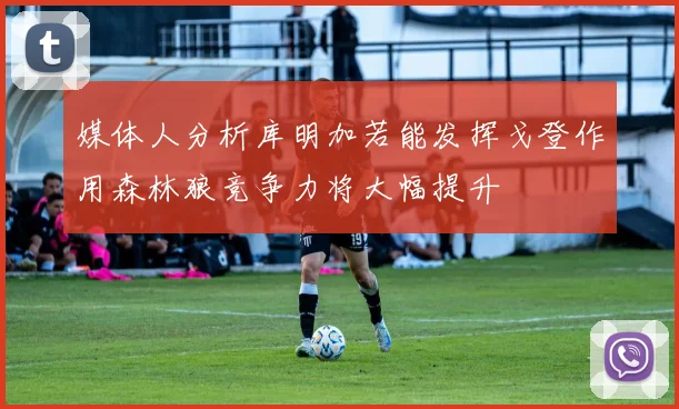 媒体人分析库明加若能发挥戈登作用森林狼竞争力将大幅提升