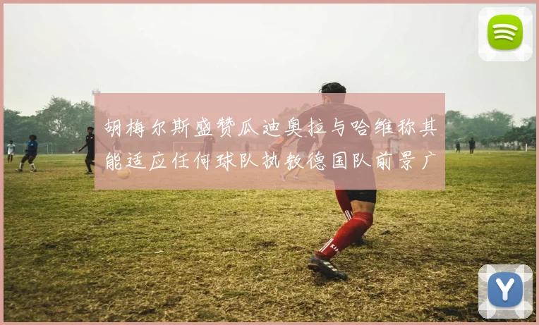 胡梅尔斯盛赞瓜迪奥拉与哈维称其能适应任何球队执教德国队前景广阔