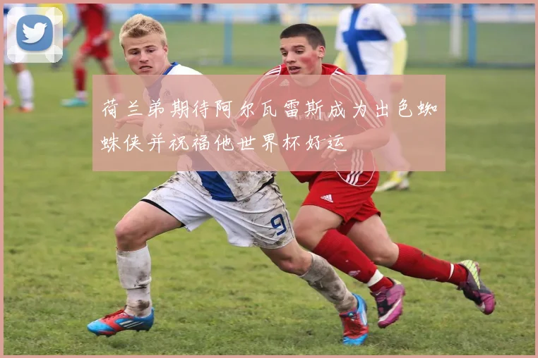 荷兰弟期待阿尔瓦雷斯成为出色蜘蛛侠并祝福他世界杯好运