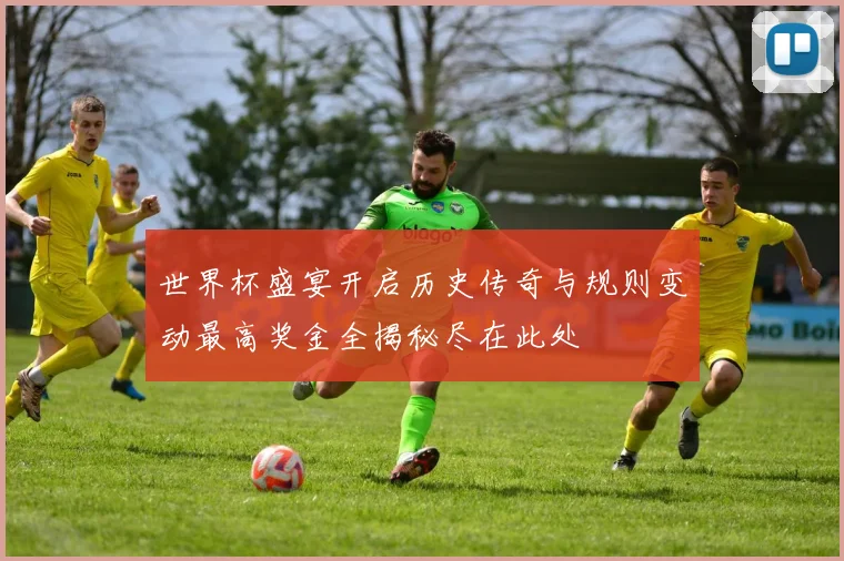 世界杯盛宴开启历史传奇与规则变动最高奖金全揭秘尽在此处
